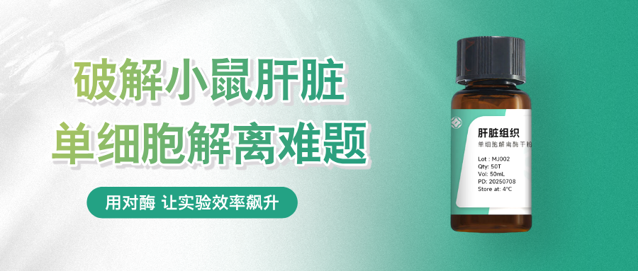 小鼠肝脏单细胞解离技术迎刃而解！新型···