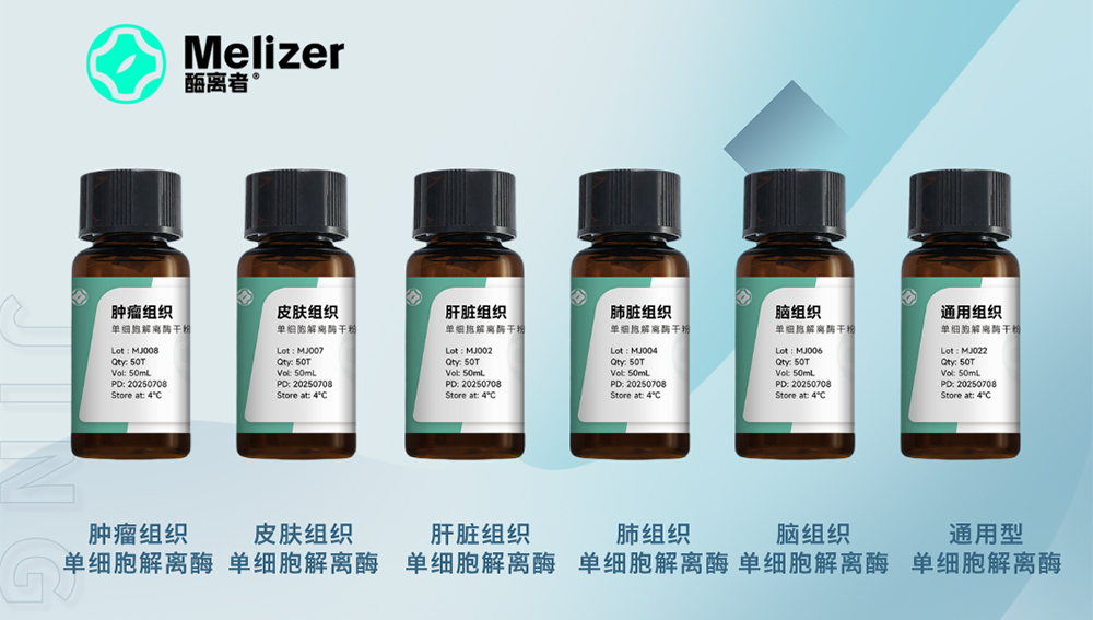 从组织到单细胞，一步搞定！这款组织单···