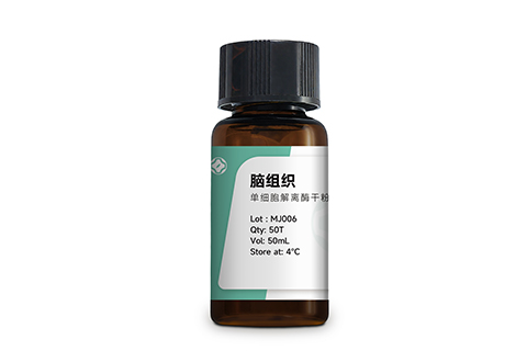 脑组织单细胞解离酶 MJ006