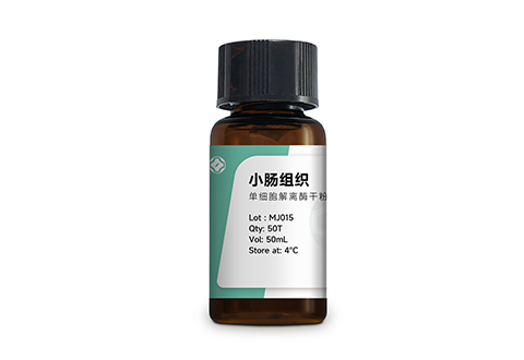 小肠组织单细胞解离酶 MJ015