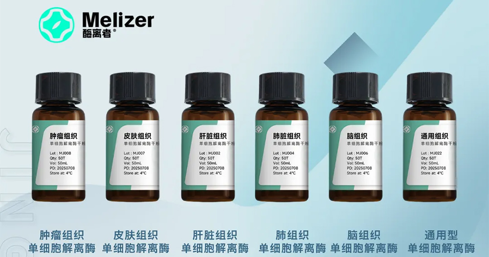 无保存液极限逆袭，胶质瘤组织斩获90···