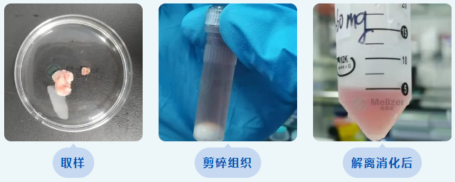 51124114321.png