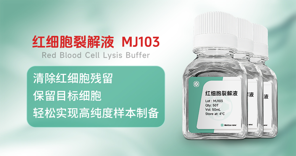 红细胞残留困扰实验？红细胞裂解液MJ···