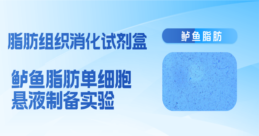 从组织到单细胞——酶离者组织单细胞解···