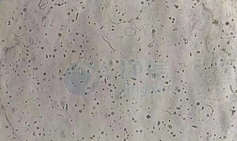251217141010.png