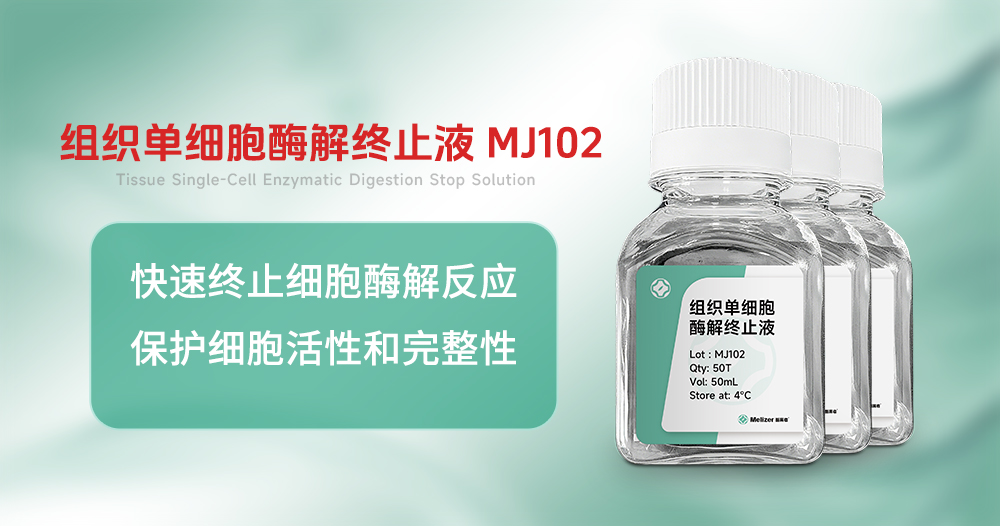 酶离者组织单细胞酶解终止液MJ102···