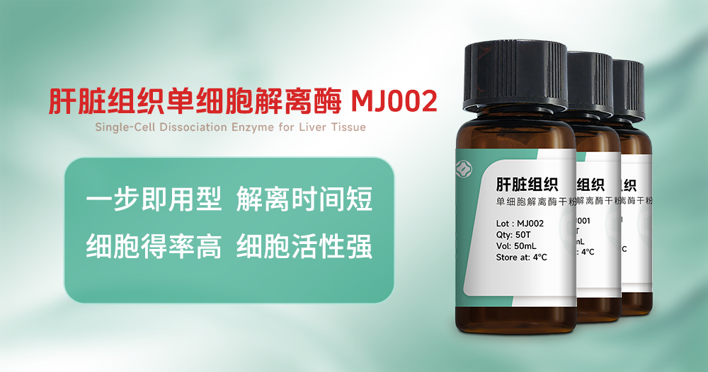 打破进口垄断！肝脏组织单细胞解离酶M···