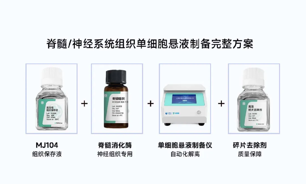 组织保存液MJ104搭配净信悬液制备仪攻克脊髓损伤单细胞分析难题