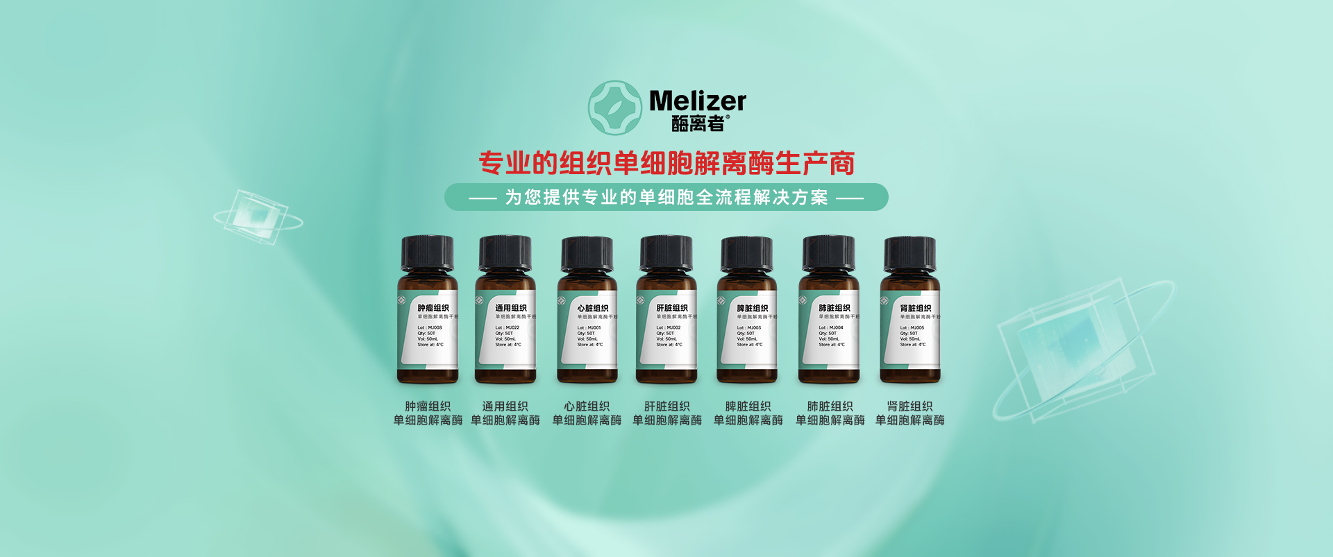 酶离者介绍
