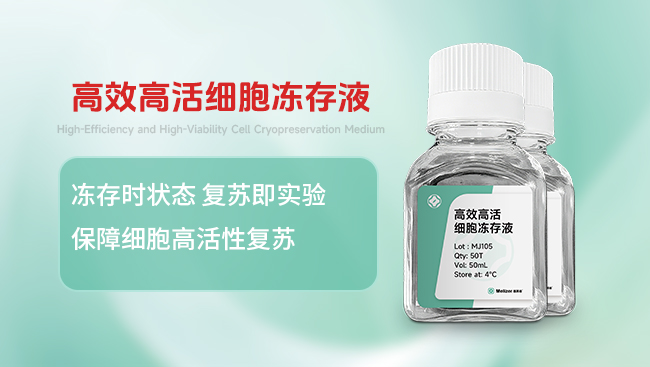高效高活细胞冻存液